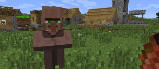 serveur Minecraft